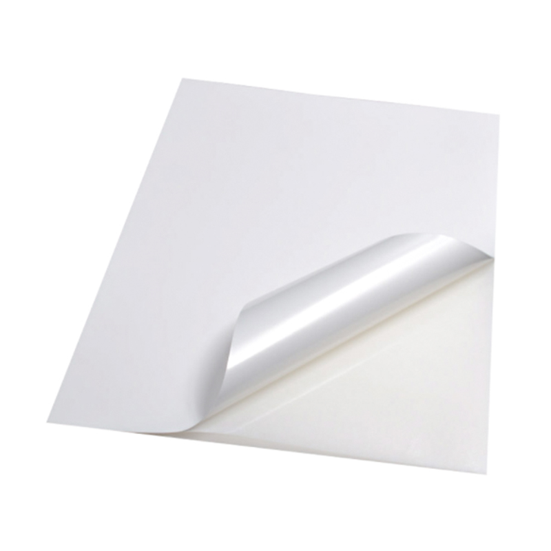 75um matt puting synthetic pp film (inkjet print)