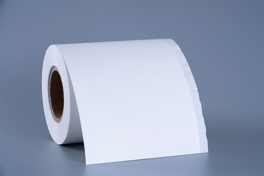 Frozen na label ng pagkain